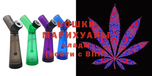 индика Покачи
