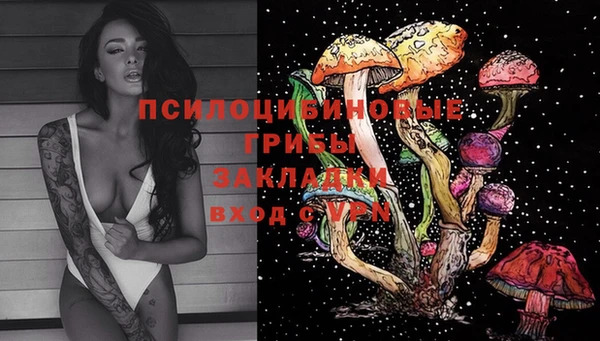 мет Белокуриха
