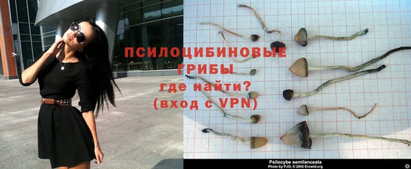 ALPHA-PVP Беломорск