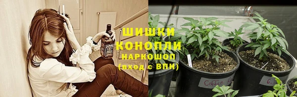 мет Белокуриха